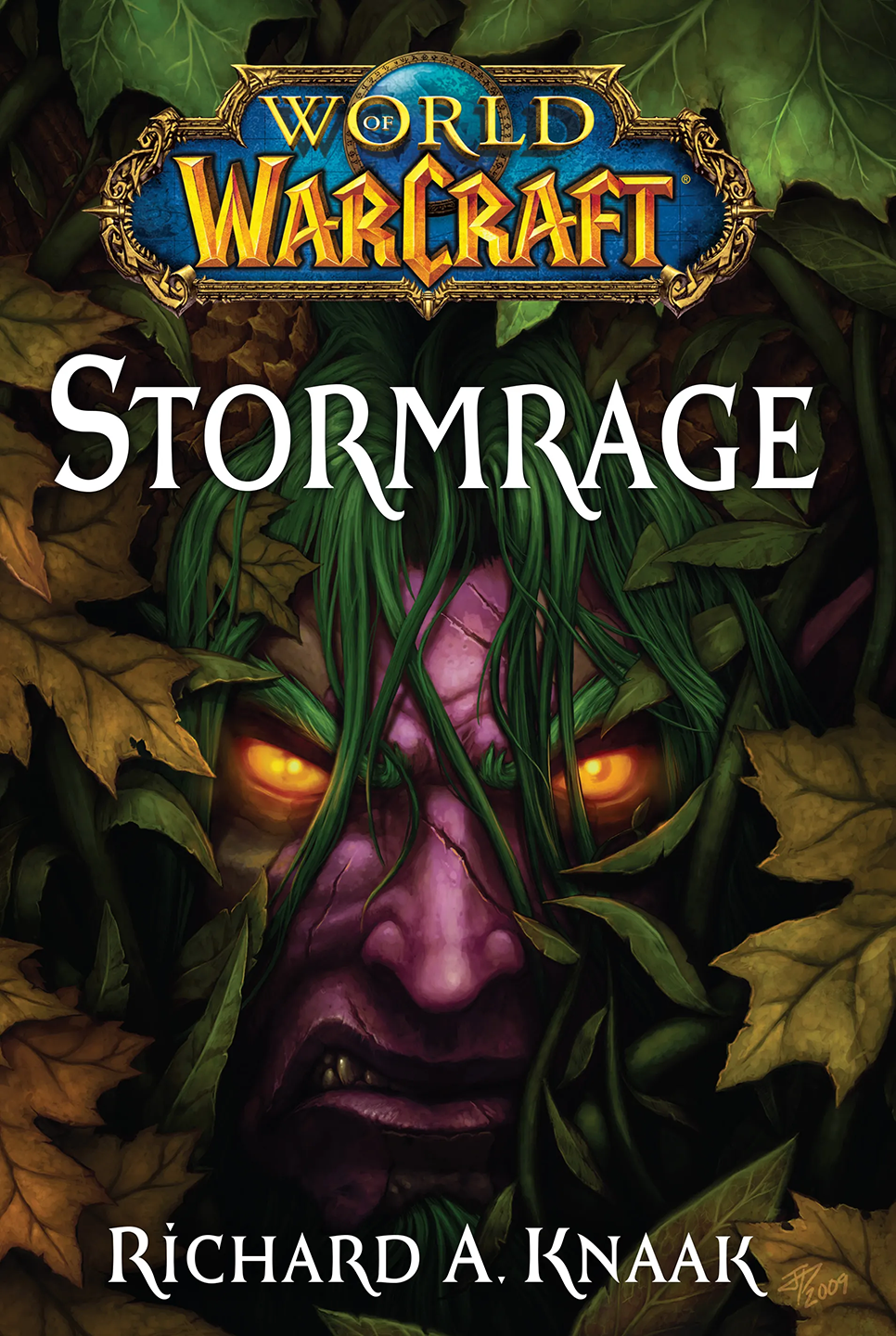 Tempesfúria, Stormrage | World of Warcraft, Warcraft, wow, Lore, Livro